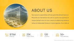 Yellow Background Theme PPT Slide 3