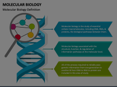 Molecular Biology PowerPoint And Google Slides Template - PPT Slides