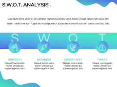 Cool Elegant Theme PPT Slide 7