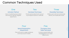 Chiropractic Therapy PPT Slide 5