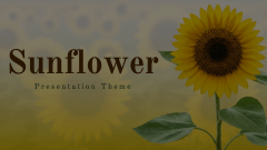 Sunflower Theme Animated Presentation - SketchBubble