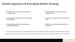 LVMH Case Study PPT Slide 8