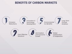 Carbon Markets PPT Slide 7