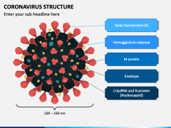 Coronavirus Structure PPT Slide 2