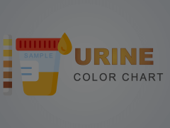 Urine Color Chart Animated Presentation - SketchBubble