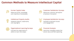 Intellectual Capital (IC) PPT Slide 5