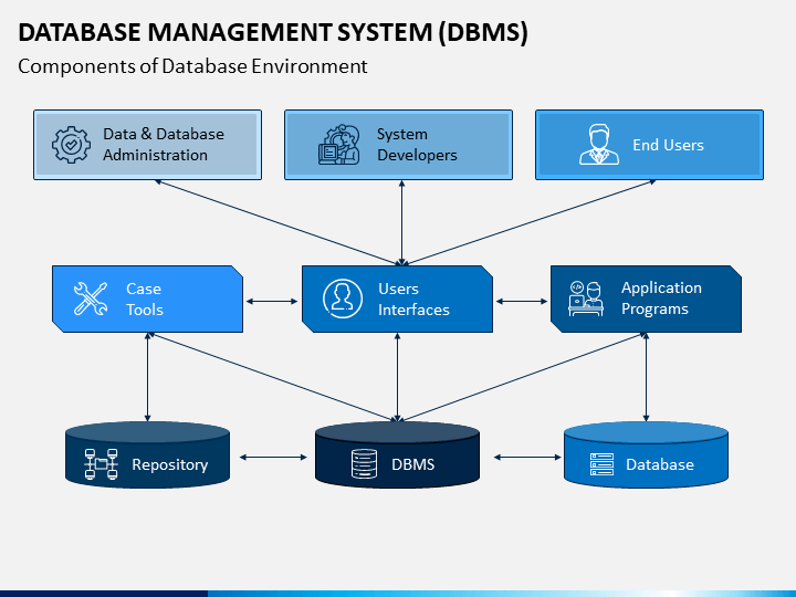 The Database Management System DBMS