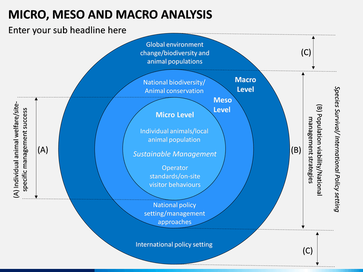 Micro Meso Macro Analysis PowerPoint Template