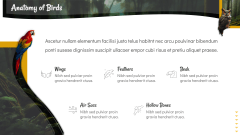 Free - Birds Presentation for PowerPoint and Google Slides - PPT Slides