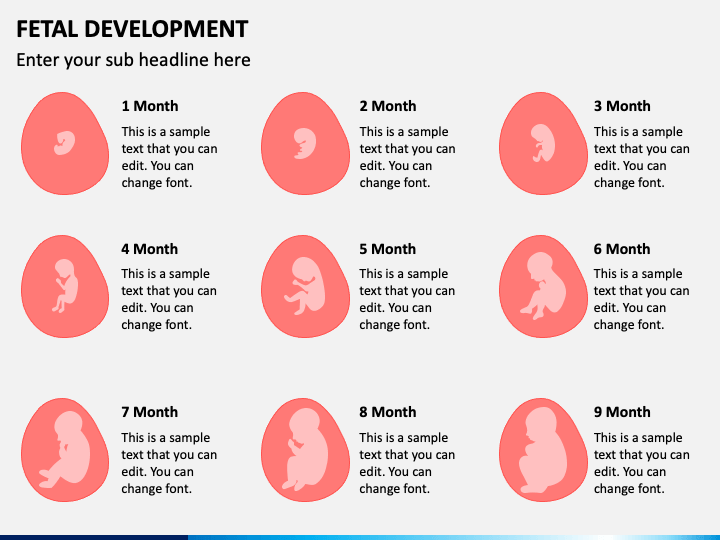 Fetal Development PPT Slide 1