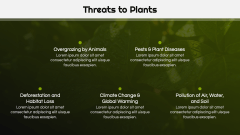 Botany Lesson Presentation PPT Slide 11