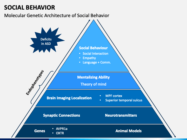 Social Behavior PowerPoint Template - PPT Slides