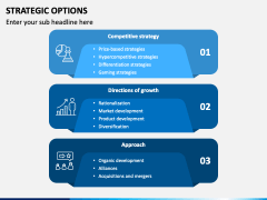 Strategic Options PPT Slide 5