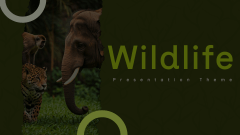 Wildlife Presentation Animated Presentation - SketchBubble
