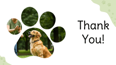 Dog Training Presentation Theme PPT Slide 12