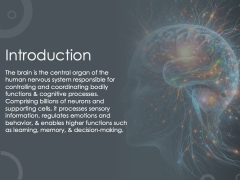 Brain Theme PPT Slide 3