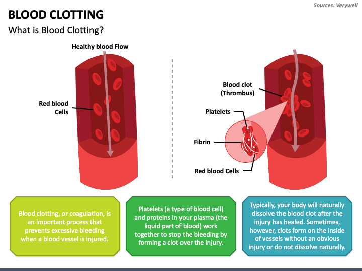 Blood Clotting PowerPoint Template - PPT Slides