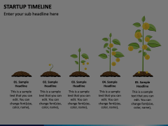 Startup Timeline Animated Presentation - SketchBubble
