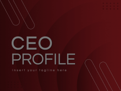 CEO Profile Animated Presentation - SketchBubble
