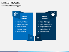Stress Triggers PPT Slide 4