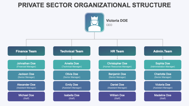 Private Sector Organizational Structure PPT Slide 1