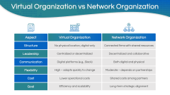 Virtual Organization PPT Slide 8