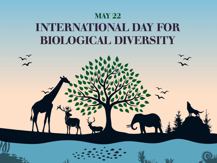 Free International Day for Biological Diversity PowerPoint Template