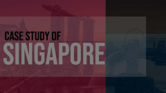 Case Study of Singapore Animated Presentation - SketchBubble