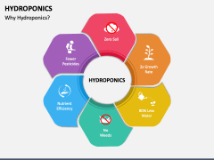 Hydroponics PPT Slide 3