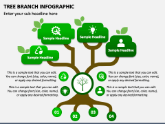 Tree Branch Infographic for PowerPoint and Google Slides - PPT Slides