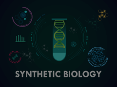 Synthetic Biology Animated Presentation - SketchBubble