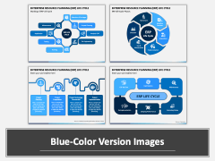 Enterprise Resource Planning (ERP) Life Cycle PPT Combined