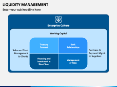 Liquidity Management PowerPoint and Google Slides Template - PPT Slides