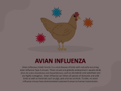 Avian Influenza Animated Presentation - SketchBubble