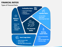 Financial Ratios PPT Slide 1