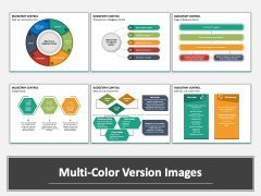 Budgetary Control PPT Multicolor Combined