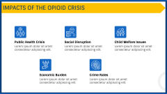 Opioid Crisis PPT Slide 7