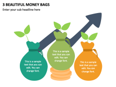3 Beautiful Money Bags PPT Slide 2