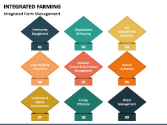 Integrated Farming PowerPoint and Google Slides Template - PPT Slides