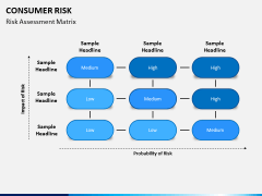 Consumer Risk PPT Slide 3