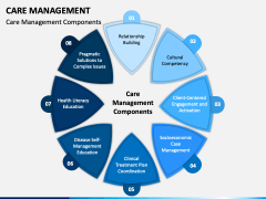 Care Management PowerPoint and Google Slides Template - PPT Slides