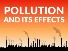 Pollution and its Effects PowerPoint and Google Slides Template - PPT ...