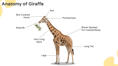 Giraffe Presentation Theme PPT Slide 5