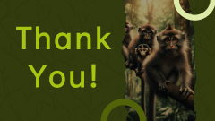 Wildlife Presentation PPT Slide 11