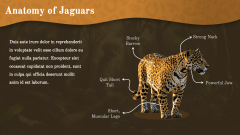Jaguar Presentation Theme PPT Slide 4