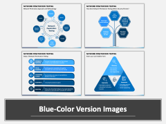 Network Penetration Testing PPT Combined