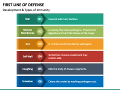First Line of Defense PowerPoint and Google Slides Template - PPT Slides