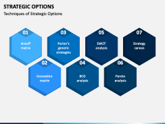 Strategic Options PPT Slide 2
