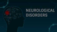 Neurological Disorders Animated Presentation - SketchBubble