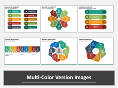 Business Management PPT Multicolor Combined